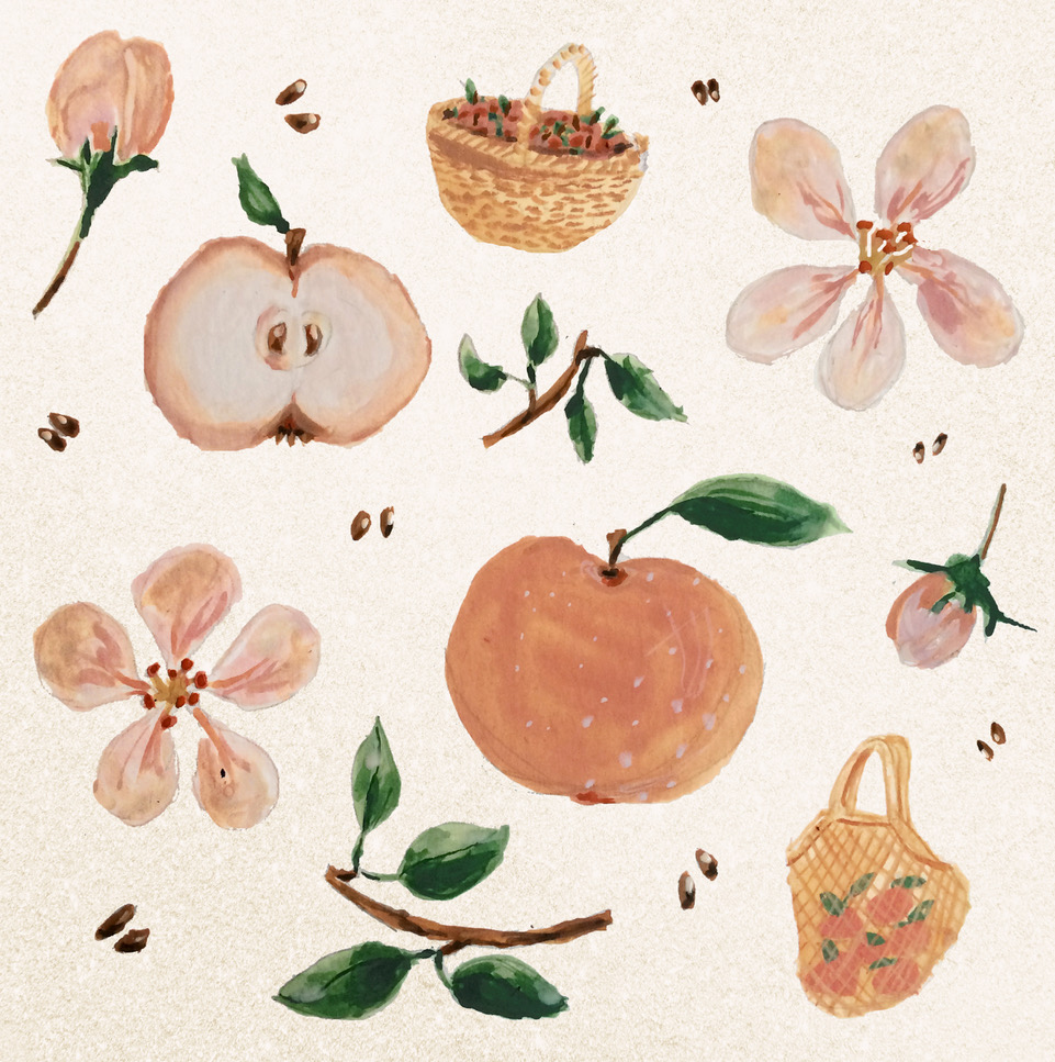 illustratie van appels en bloemen oranje